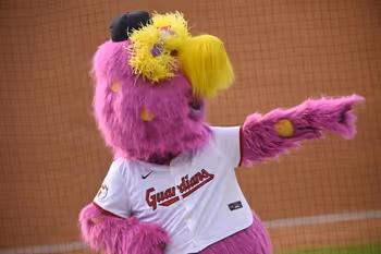 Mascot, Toy, Clothing