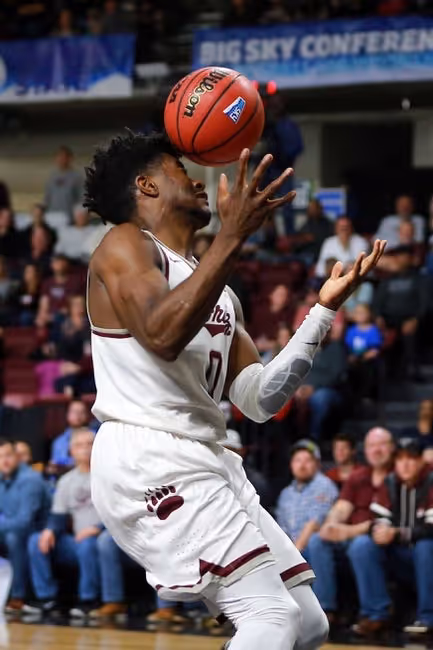 Ball, Basketball, Basketball (Ball)
