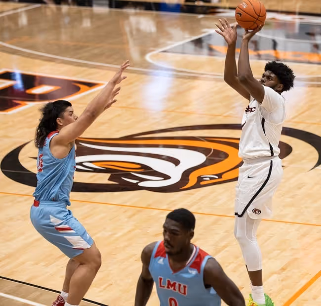 Basketball, Person, Playing Basketball