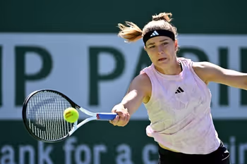 Ball, Sport, Tennis