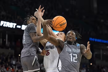 Basketball, Person, Playing Basketball