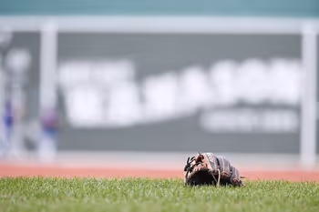 Baseball, Baseball Glove, Clothing