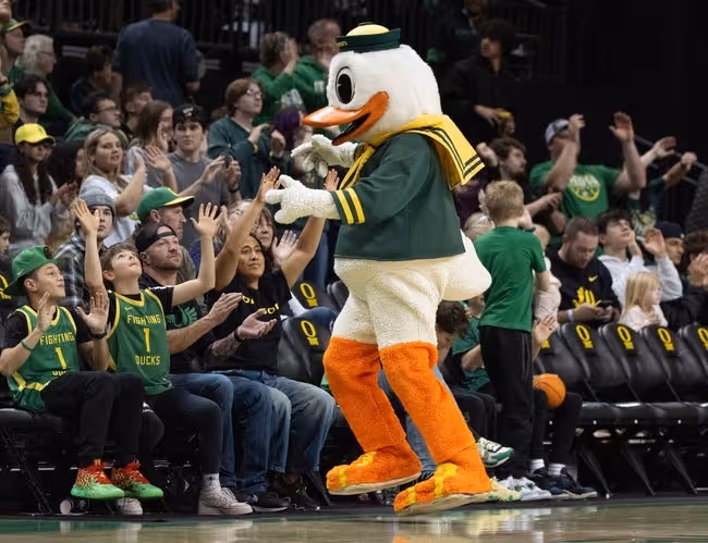 Mascot, Clothing, Hat