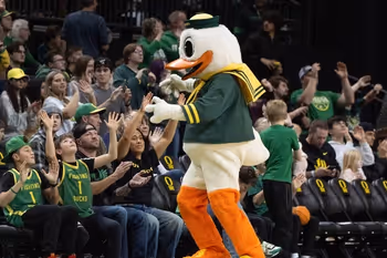 Mascot, Clothing, Hat