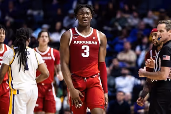 People, Person, Adult