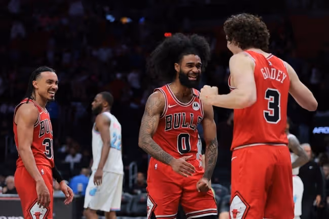 Adult, Female, Person