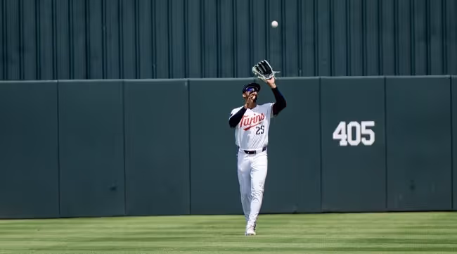 People, Person, Baseball
