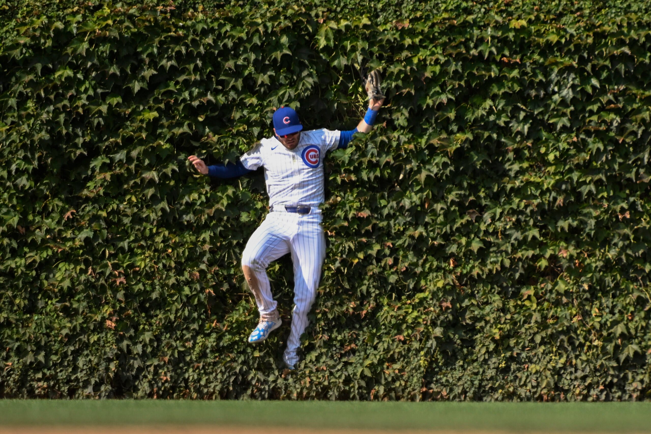 Sep 8, 2024; Chicago, Illinois, USA; Chicago Cubs outfielder Ian Happ (8) catches a fly ball hit by New York Yankees catcher Austin Wells (28) during the eighth inning at Wrigley Field. Mandatory Credit: Matt Marton-Imagn Images