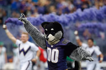 Mascot, Boy, Child