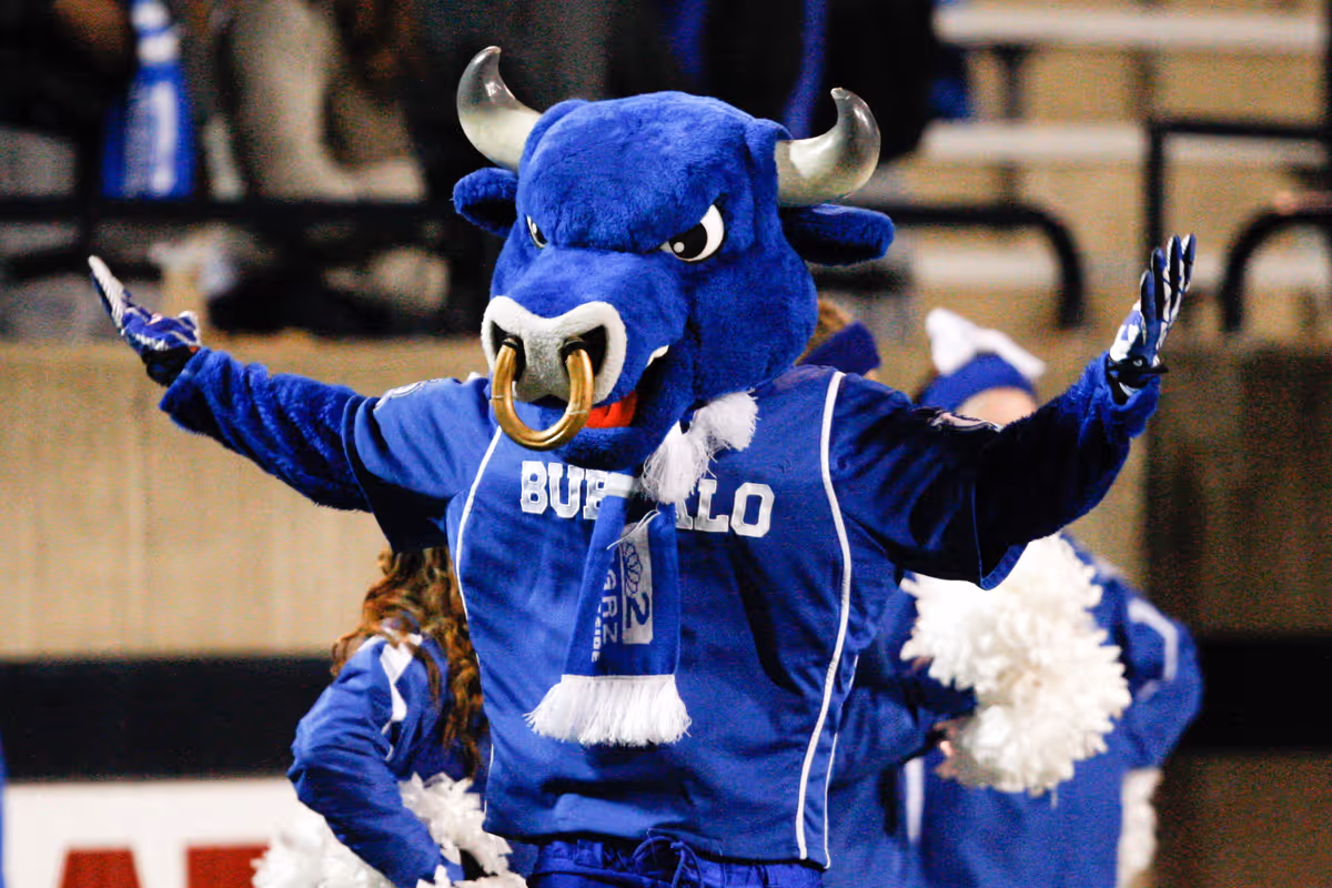 Mascot, Person, Clothing