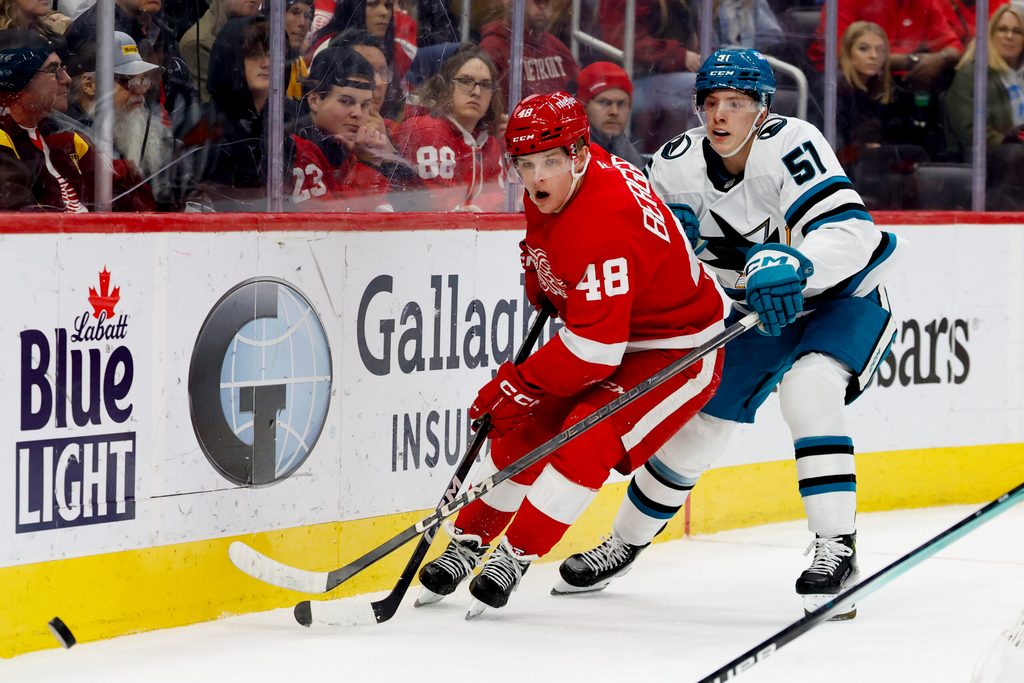 Jan 14, 2025; Detroit, Michigan, USA;  Detroit Red Wings right wing Jonatan Berggren (48) and San Jose Sharks right wing Collin Graf (51) battle for the puck in the second period at Little Caesars Arena. Mandatory Credit: Rick Osentoski-Imagn Images