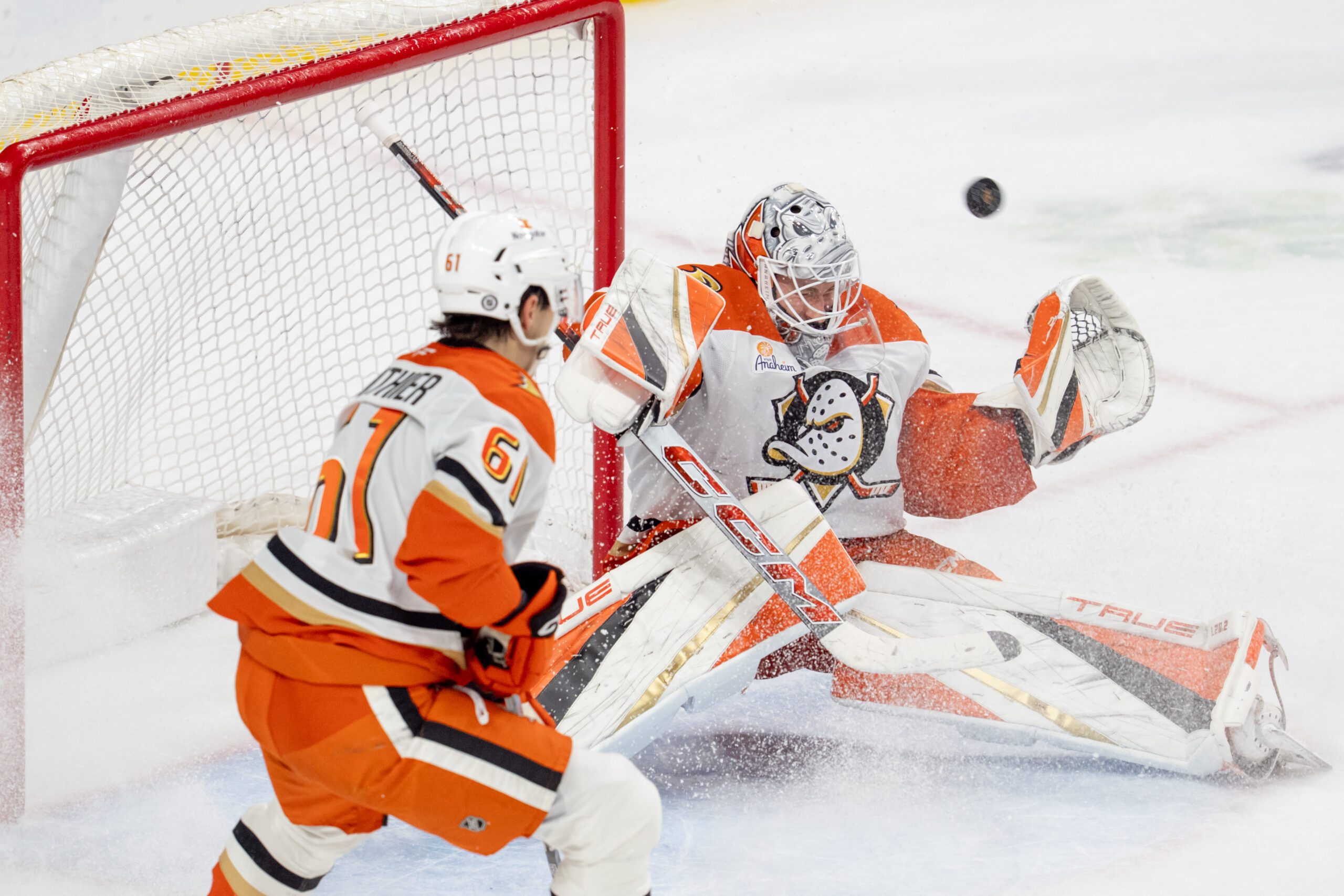 Apr 15, 2025; Saint Paul, Minnesota, USA; A shot by Minnesota Wild left wing Matt Boldy (12) goes over the shoulder of Anaheim Ducks goaltender Lukas Dostal (1) clinching a playoff birth for the Minnesota Wild in overtime at Xcel Energy Center. Mandatory Credit: Matt Blewett-Imagn Images