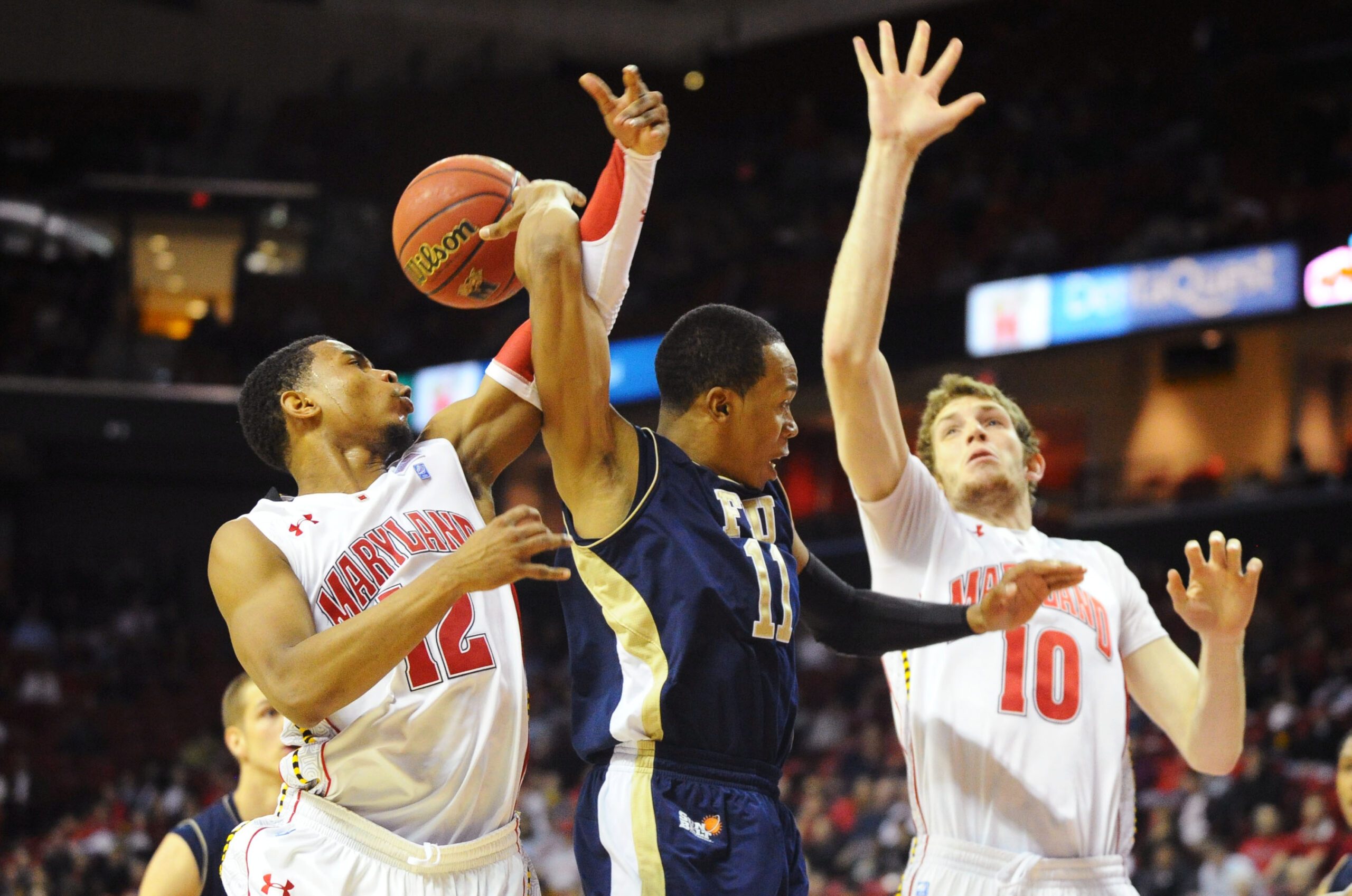 Dec 14, 2011; College Park, MD, USA; FIU Panthers guard Phil Taylor (11) throws a behind the back pass to forward Gilles Dierickx (back) as Maryland Terrapins guard Terrell Stoglin (12) and forward Berend Weijs (10) defend in the second half at Comcast Center. Maryland defeated FIU 65-61.  Mandatory Credit: James Lang-Imagn Images