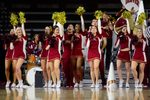 Dec 19, 2014; Denver, CO, USA; Denver Pioneers cheerleaders perform on the sidelines in the first half against the Colorado State Rams at Magness Arena. Mandatory Credit: Ron Chenoy-Imagn Images