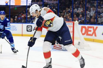 Feb 5, 2026; Tampa, Florida, USA; Florida Panthers defenseman Mikulas Hovorka (96) passes against the Tampa Bay Lightning during the third period at Benchmark International Arena. Mandatory Credit: Kim Klement Neitzel-Imagn Images