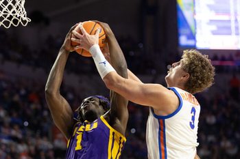 LSU center Michael Nwoko (1) and Florida center Micah Handlogten (3) fight for the rebound during the first half of an NCAA mens basketball game at Steven C. O'Connell Center Exactek arena in Gainesville, FL on Tuesday, January 20, 2026. [Alan Youngblood/Gainesville Sun]