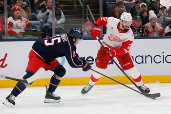 Dec 4, 2025; Columbus, Ohio, USA; Columbus Blue Jackets defenseman Dante Fabbro (15) blocks the attempt of Detroit Red Wings center Michael Rasmuss (27) during the third period at Nationwide Arena. Mandatory Credit: Russell LaBounty-Imagn Images