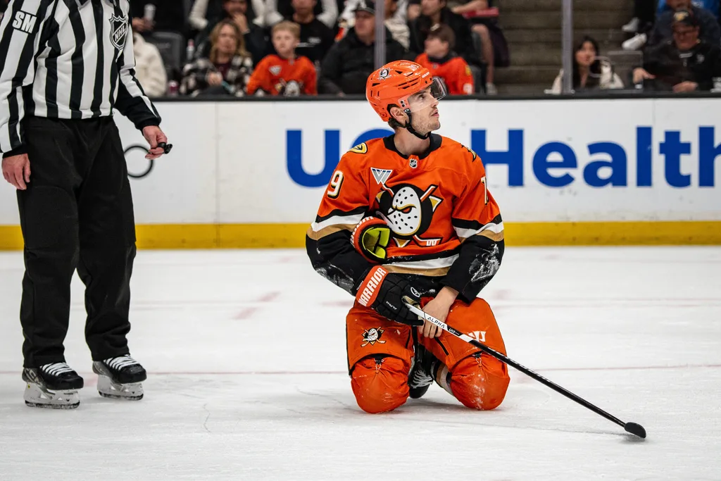 Apr 4, 2026; Anaheim, California, USA; Anaheim Ducks right wing Troy Terry (19) following a tripping call during the second period against the Nashville Predators at Honda Center. Mandatory Credit: Corinne Votaw-Imagn Images