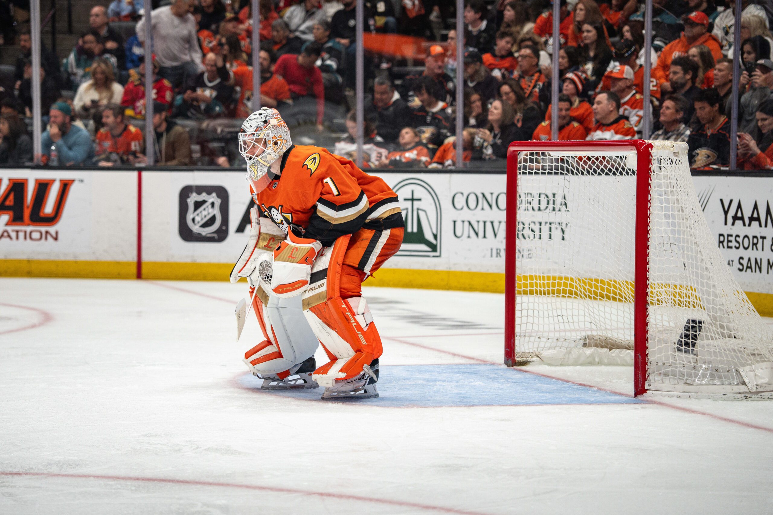 May 10, 2026; Anaheim, California, USA; Anaheim Ducks goaltender Lukas Dostal (1) tends the net during the third period against the Vegas Golden Knights in game four of the second round of the 2026 Stanley Cup Playoffs at Honda Center. Mandatory Credit: Corinne Votaw-Imagn Images