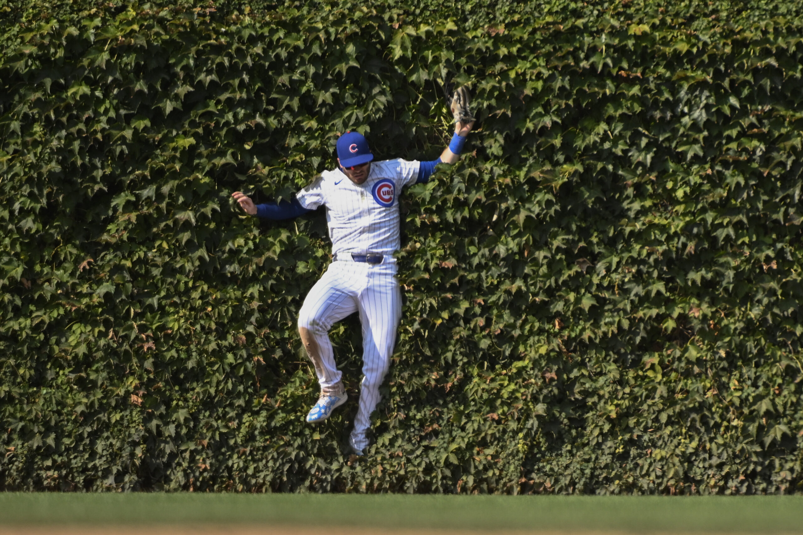 Sep 8, 2024; Chicago, Illinois, USA; Chicago Cubs outfielder Ian Happ (8) catches a fly ball hit by New York Yankees catcher Austin Wells (28) during the eighth inning at Wrigley Field. Mandatory Credit: Matt Marton-Imagn Images