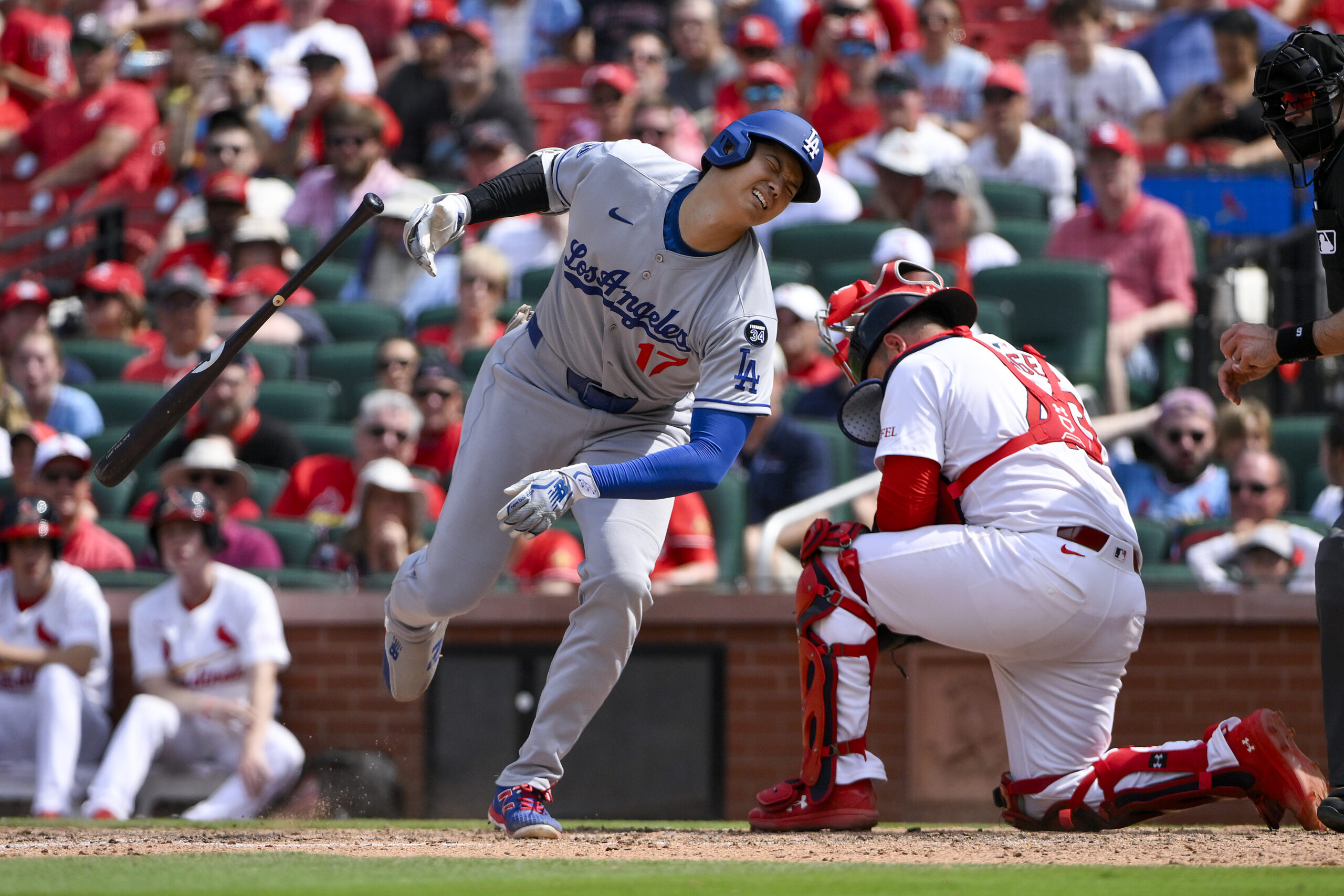 Jun 8, 2025; St. Louis, Missouri, USA; Los Angeles Dodgers designated hitter Shohei Ohtani (17) reacts after he was hit by a pitch by St. Louis Cardinals relief pitcher Matt Svanson (not pictured) during the eighth inning at Busch Stadium. Mandatory Credit: Jeff Curry-Imagn Images