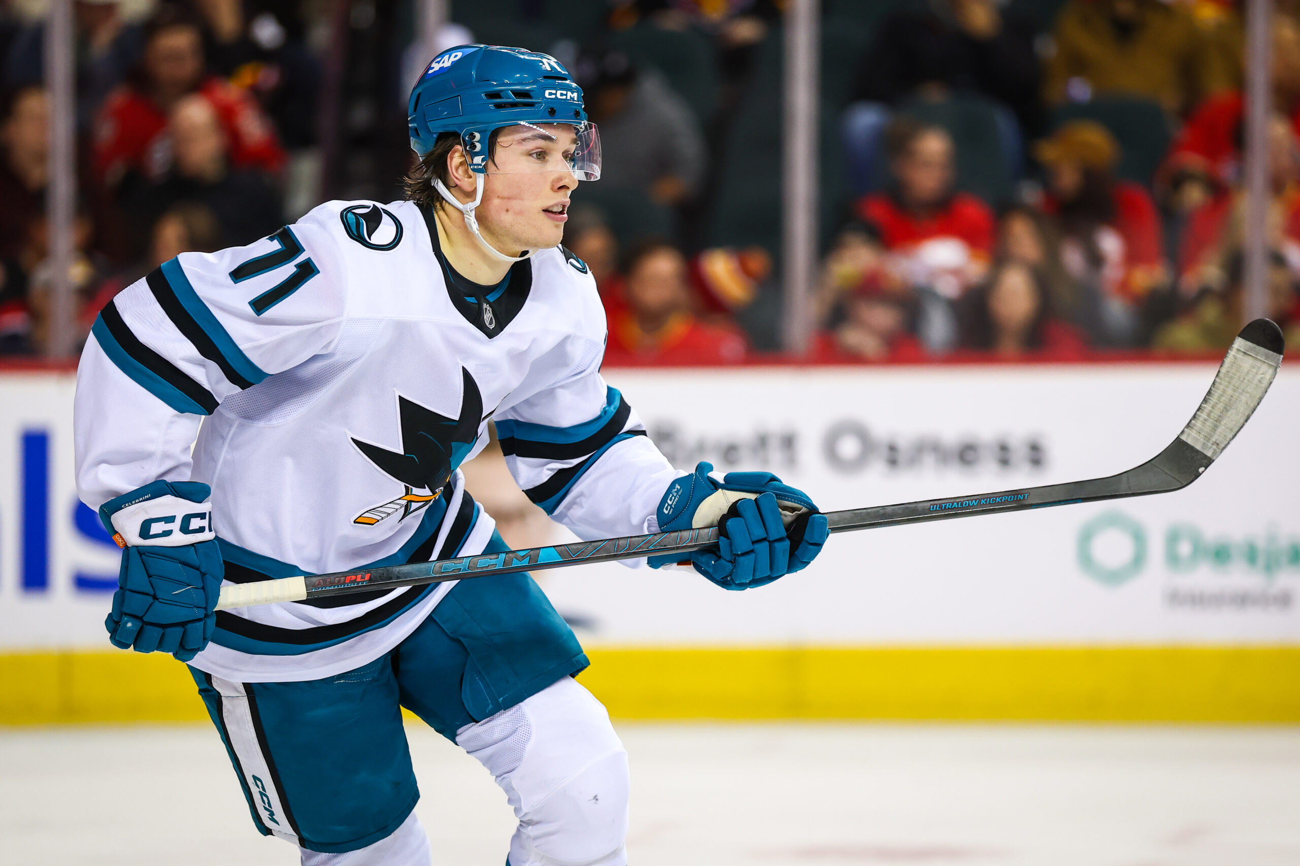 Nov 13, 2025; Calgary, Alberta, CAN; San Jose Sharks center Macklin Celebrini (71) skates against the Calgary Flames during the second period at Scotiabank Saddledome. Mandatory Credit: Sergei Belski-Imagn Images