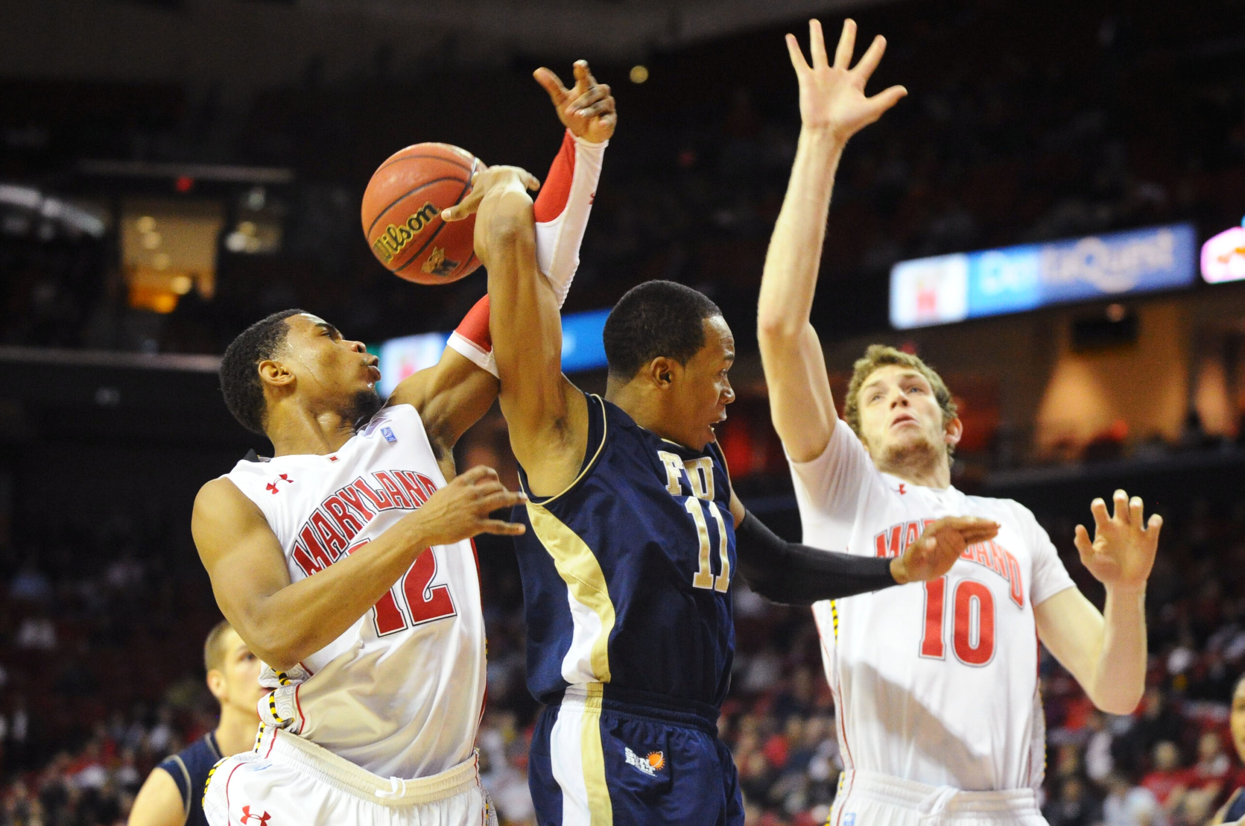 Dec 14, 2011; College Park, MD, USA; FIU Panthers guard Phil Taylor (11) throws a behind the back pass to forward Gilles Dierickx (back) as Maryland Terrapins guard Terrell Stoglin (12) and forward Berend Weijs (10) defend in the second half at Comcast Center. Maryland defeated FIU 65-61. Mandatory Credit: James Lang-Imagn Images
