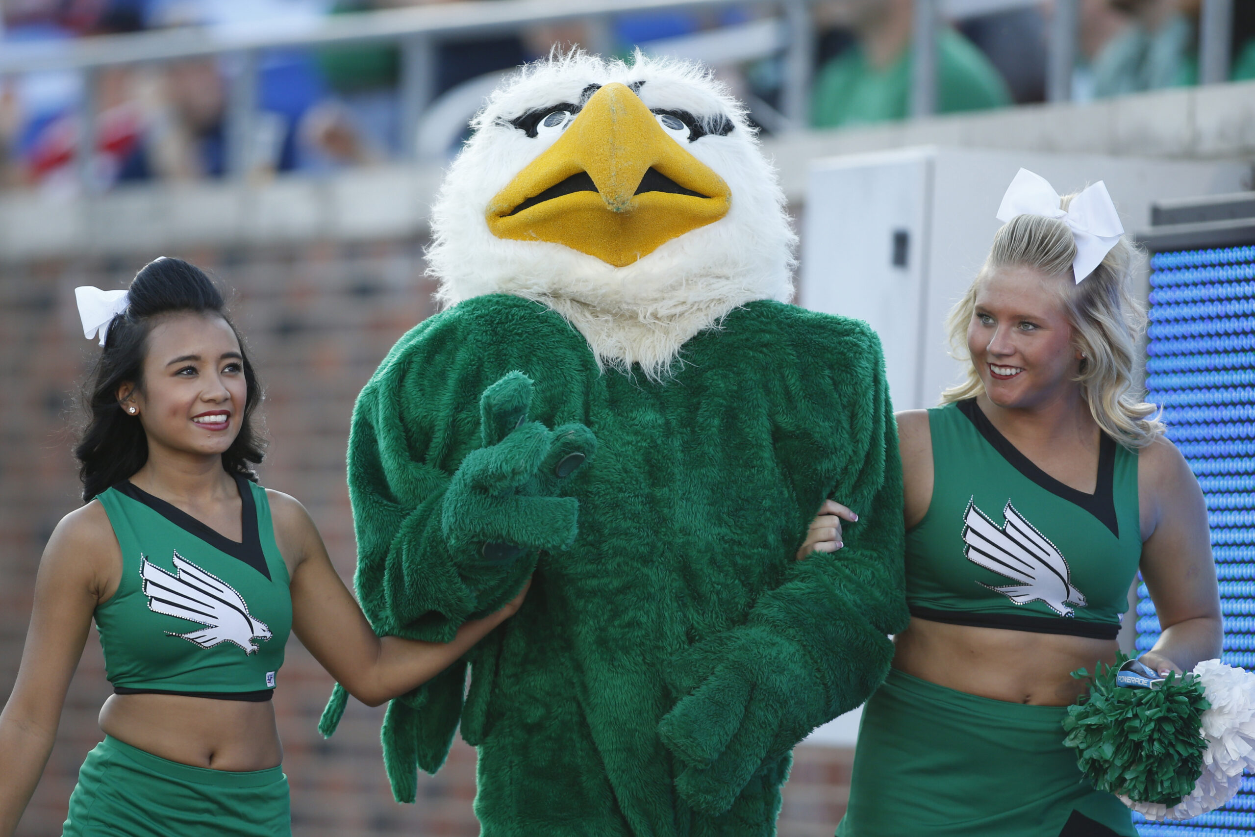 Sep 12, 2015; Dallas, TX, USA; North Texas Mean Green mascot Scrappy the Eagle walks with two cheerleaders during the game against the Southern Methodist Mustangs at Gerald J. Ford Stadium. Southern Methodist won 31-13. Mandatory Credit: Tim Heitman-Imagn Images