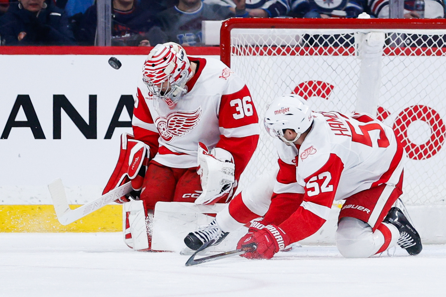 Jan 24, 2026; Winnipeg, Manitoba, CAN; Detroit Red Wings goalie Josh Gibson (36) makes a save on a shot by the Winnipeg Jets during the first period at Canada Life Centre. Mandatory Credit: Terrence Lee-Imagn Images