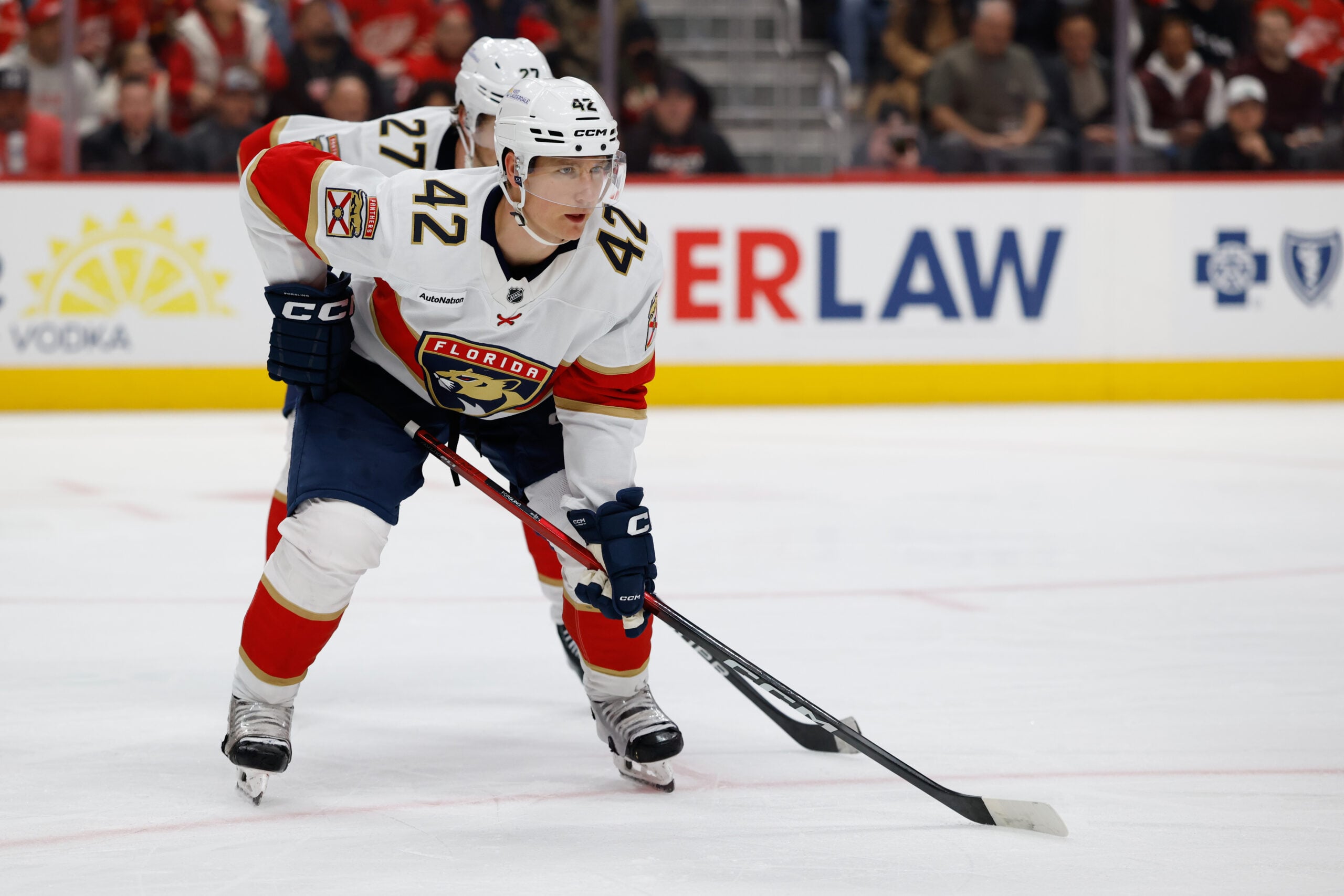 Mar 6, 2026; Detroit, Michigan, USA;  Florida Panthers defenseman Gustav Forsling (42) gets set during a face-off in the second period against the Detroit Red Wings at Little Caesars Arena. Mandatory Credit: Rick Osentoski-Imagn Images